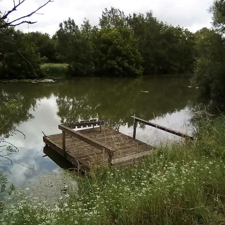 Sur Le Chemin De La Sevre * Taugon