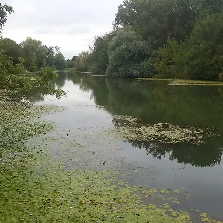 Sur Le Chemin De La Sevre Nyaraló *